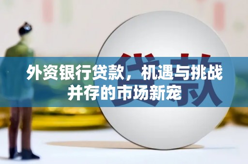 龙崎外资银行贷款，机遇与挑战并存的市场新宠