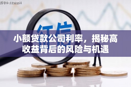 无极小额贷款公司利率，揭秘高收益背后的风险与机遇