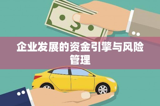 凤林企业发展的资金引擎与风险管理