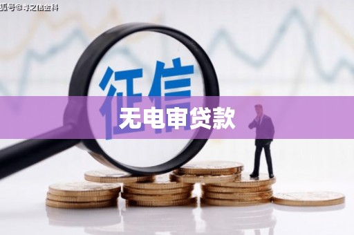 闵行无电审贷款