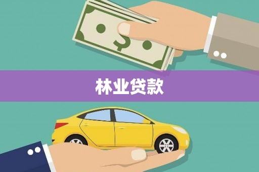 美溪林业贷款