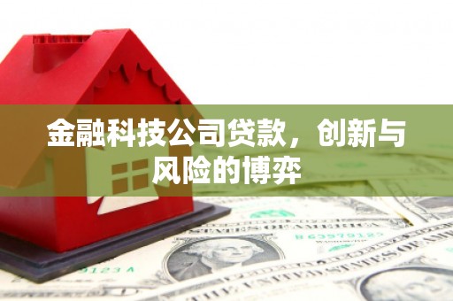 颍泉金融科技公司贷款，创新与风险的博弈