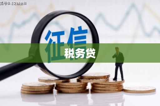 夏津税务贷