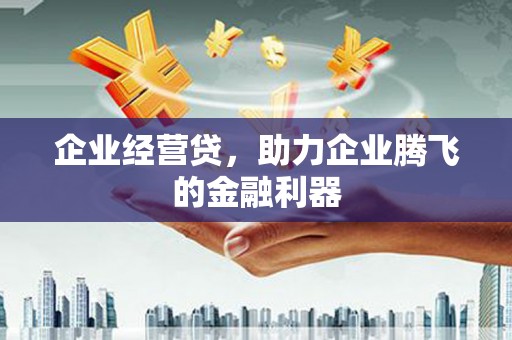沙鹿企业经营贷，助力企业腾飞的金融利器