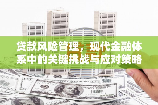 曲江贷款风险管理，现代金融体系中的关键挑战与应对策略
