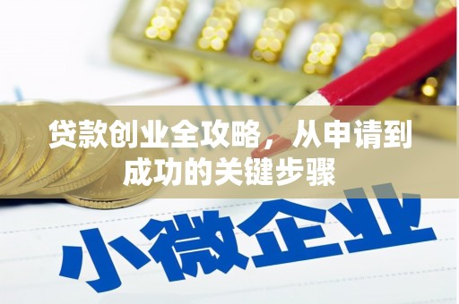平舆贷款创业全攻略，从申请到成功的关键步骤