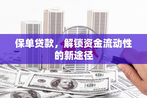 漯河保单贷款，解锁资金流动性的新途径