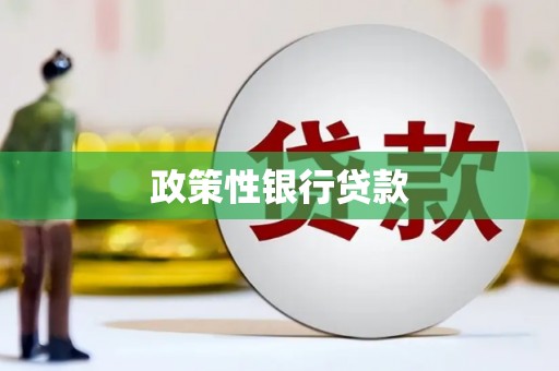 大宁政策性银行贷款