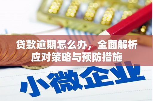 马山贷款逾期怎么办，全面解析应对策略与预防措施