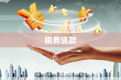 朱家尖税务贷款