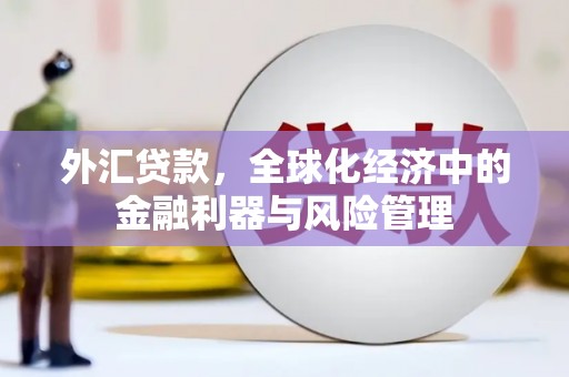 杭锦旗外汇贷款，全球化经济中的金融利器与风险管理