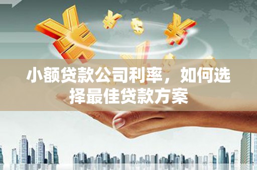 芎林小额贷款公司利率，如何选择最佳贷款方案