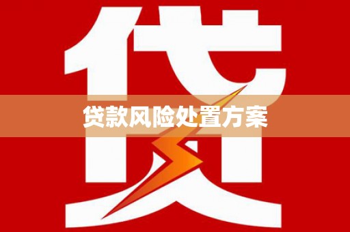 安化贷款风险处置方案