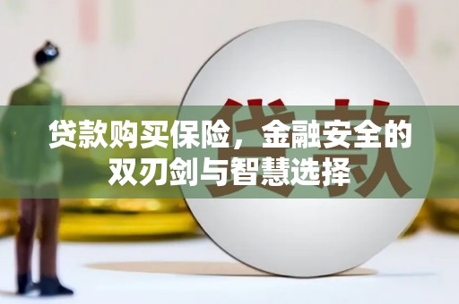 龙游贷款购买保险，金融安全的双刃剑与智慧选择