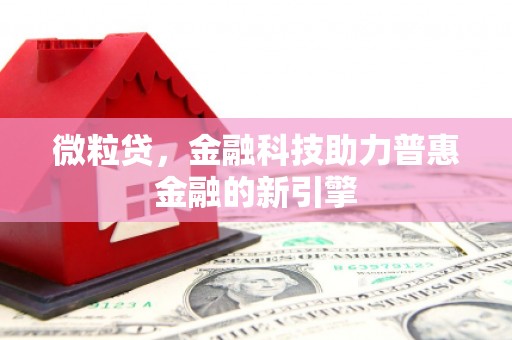 临湘微粒贷，金融科技助力普惠金融的新引擎
