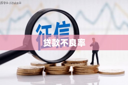 左镇贷款不良率