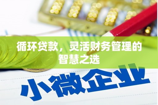 固始循环贷款，灵活财务管理的智慧之选
