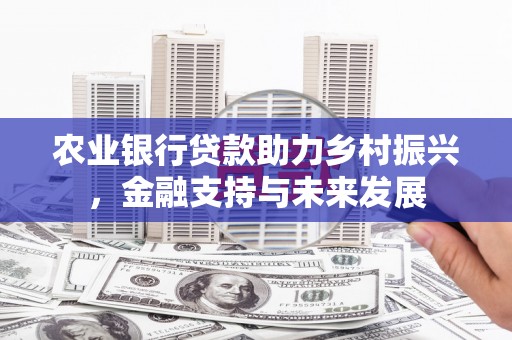 崖州农业银行贷款助力乡村振兴，金融支持与未来发展