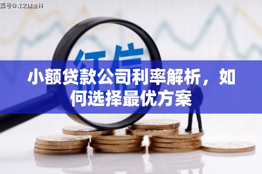 五华小额贷款公司利率解析，如何选择最优方案