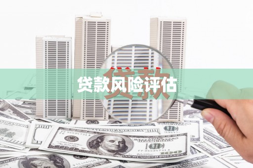 文圣贷款风险评估