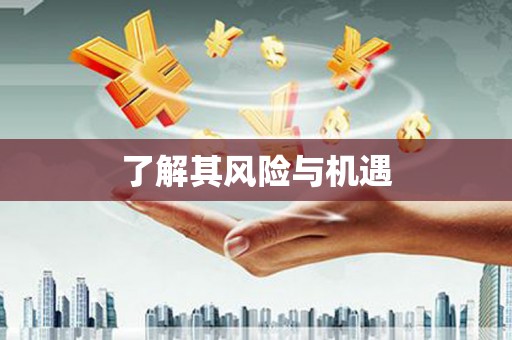 大溪了解其风险与机遇