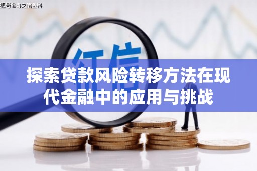 纳雍探索贷款风险转移方法在现代金融中的应用与挑战