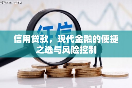 石排信用贷款，现代金融的便捷之选与风险控制