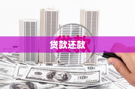 红原贷款还款