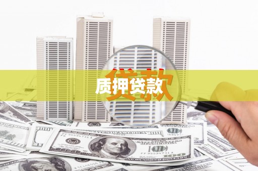 曲麻莱质押贷款