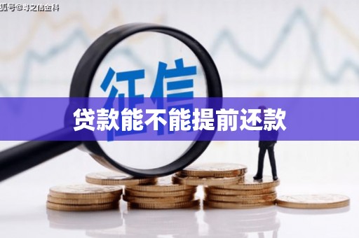 平度贷款能不能提前还款
