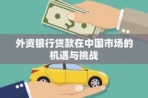 巴塘外资银行贷款在中国市场的机遇与挑战
