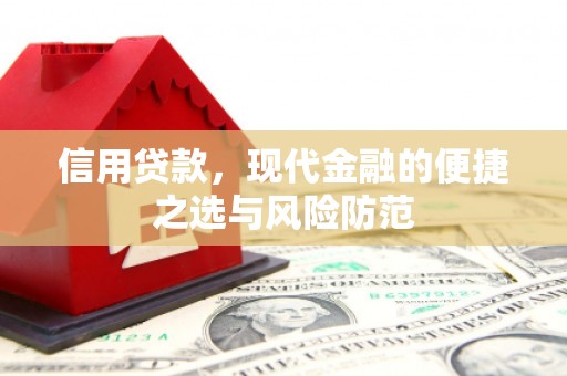 青山湖信用贷款，现代金融的便捷之选与风险防范
