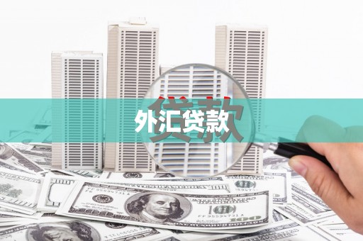 大英外汇贷款