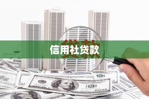 嘉模堂区信用社贷款