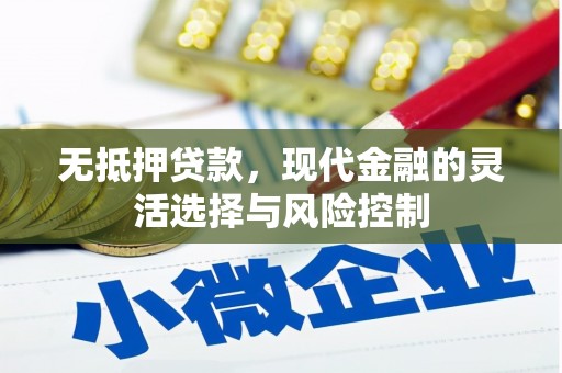金阳无抵押贷款，现代金融的灵活选择与风险控制