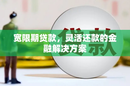 荥经宽限期贷款，灵活还款的金融解决方案