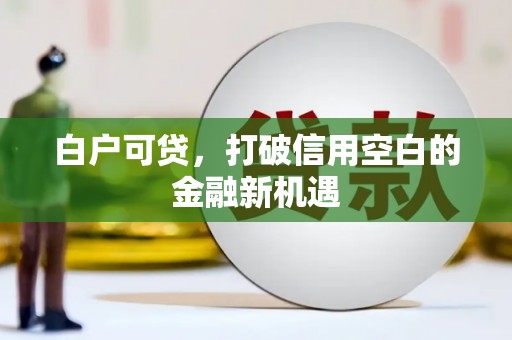 板桥白户可贷，打破信用空白的金融新机遇