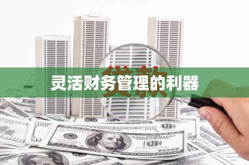 潍坊灵活财务管理的利器