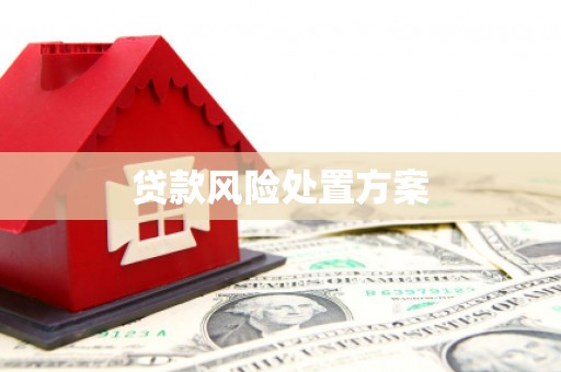 西夏贷款风险处置方案