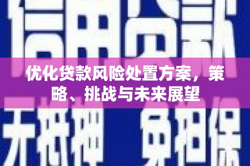 长洲优化贷款风险处置方案，策略、挑战与未来展望