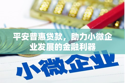 宁化平安普惠贷款，助力小微企业发展的金融利器