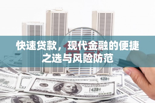 大丰快速贷款，现代金融的便捷之选与风险防范