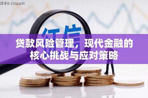 鹿城贷款风险管理，现代金融的核心挑战与应对策略