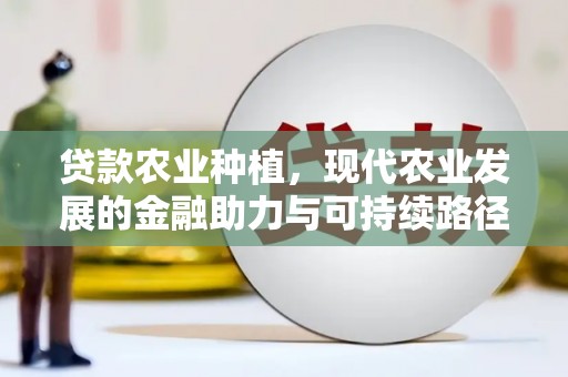 山上贷款农业种植，现代农业发展的金融助力与可持续路径