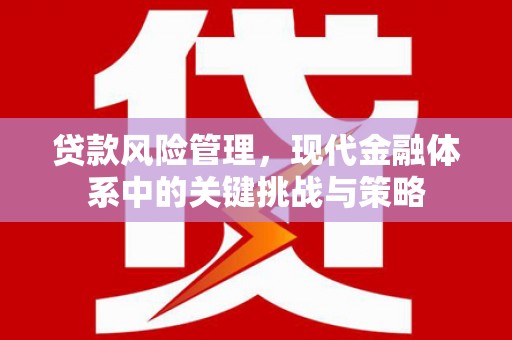 公安贷款风险管理，现代金融体系中的关键挑战与策略