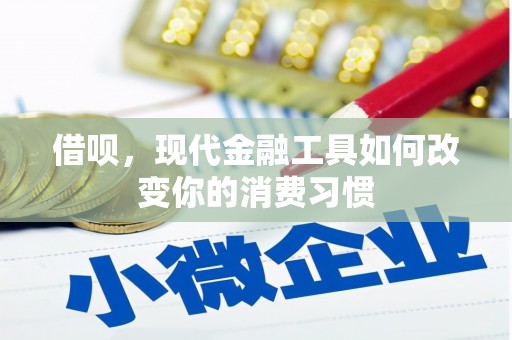 阜康借呗，现代金融工具如何改变你的消费习惯