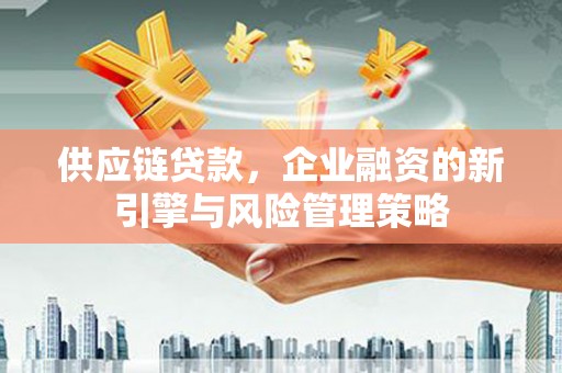 海东供应链贷款，企业融资的新引擎与风险管理策略
