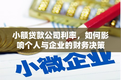 麦寮小额贷款公司利率，如何影响个人与企业的财务决策