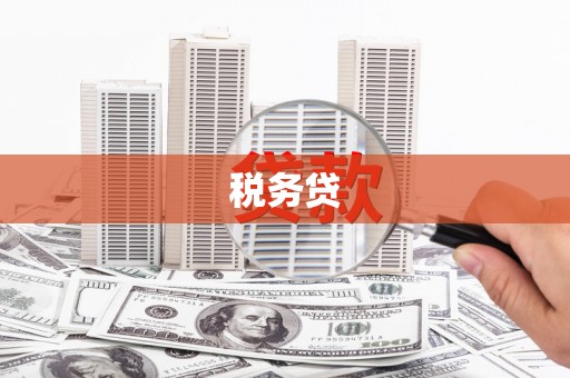 连山税务贷