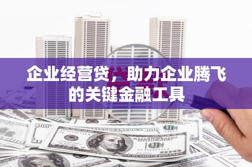 卑南企业经营贷，助力企业腾飞的关键金融工具